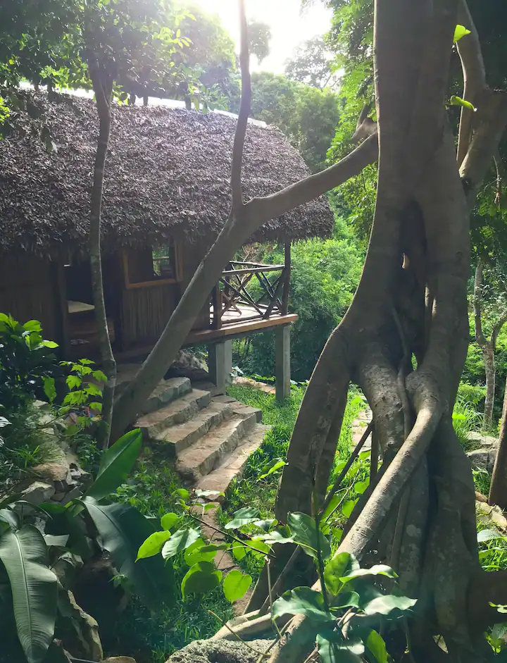 Bungalow Tortue — Makako Lodge Nosy Komba